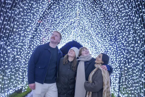 Christmas at the Botanics