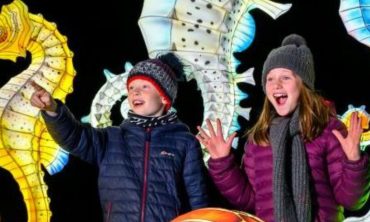 Experience the Magic of Edinburgh Zoo’s Giant Lanterns Before They Are Over on Feb 22