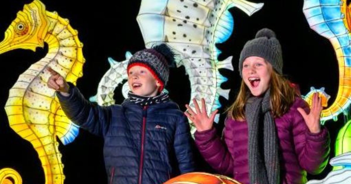 Edinburgh Zoo's Giant Lanterns