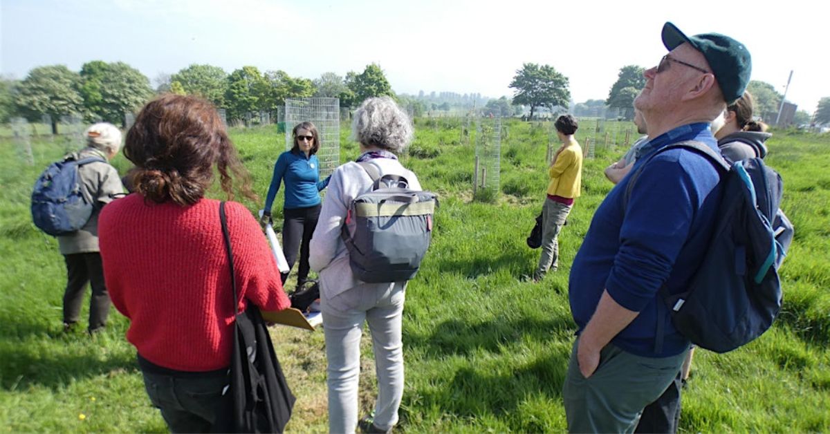 Farm Tour of the Trees